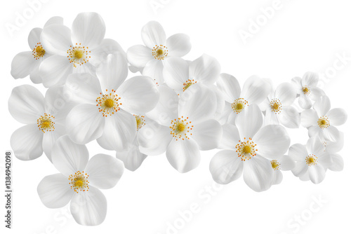 Yellow Watercolor Floral Isolated on Transparent Background