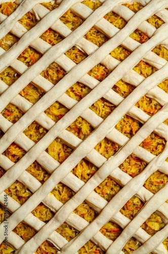 Close-up of a delicious baked pie with a lattice crust, filled with cabbage and carrot.