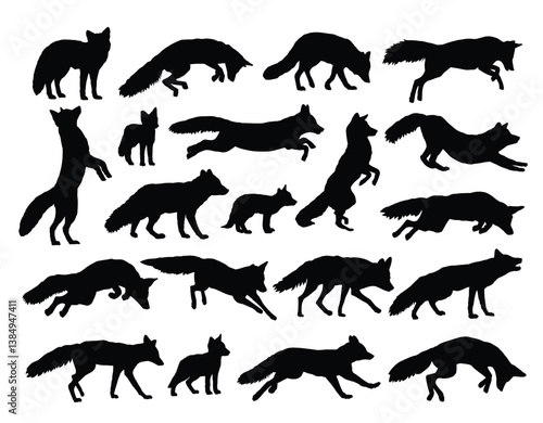 The set silhouettes of wild foxes.
