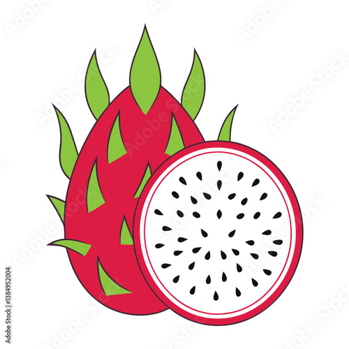 Dragon fruit vector illustration