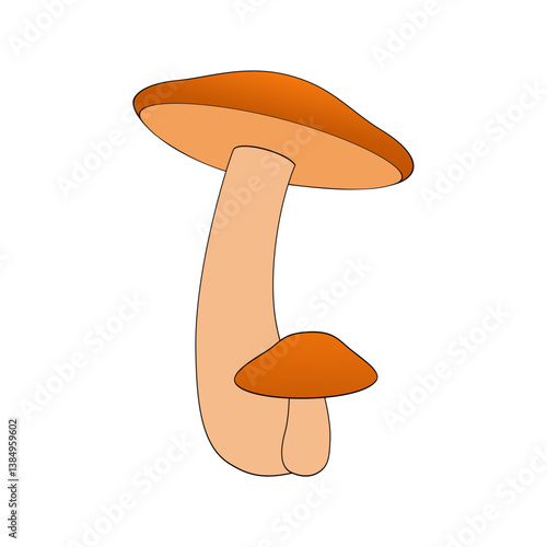 vector illustration of mushroom