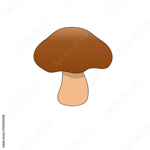 vector illustration of mushroom