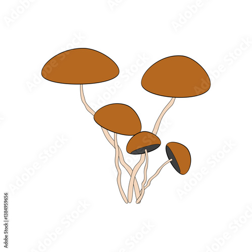 vector illustration of mushroom