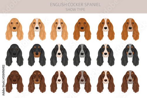 Konstfotografi English cocker spaniel show type clipart and seamless pattern