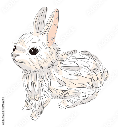 うさぎ
