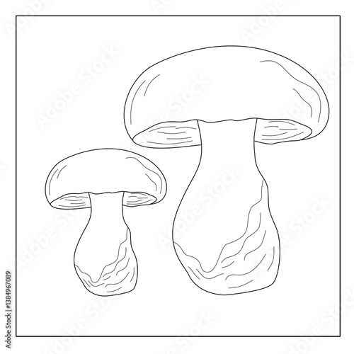 vector illustration of a mushroom