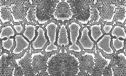 Texture pattern gray white snake crocodile reptile seamless repeat. Amazing hand drawn vector illustration. Print
