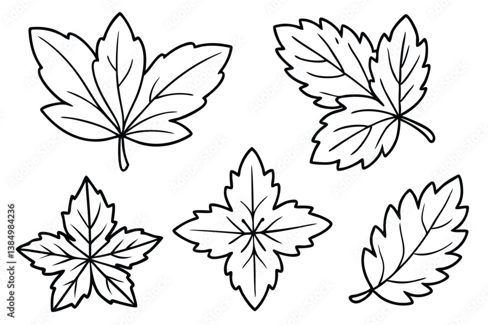 Obraz premium Chrysanthemum Leaf Line Art Simple Drawing for Floral Artwork Design