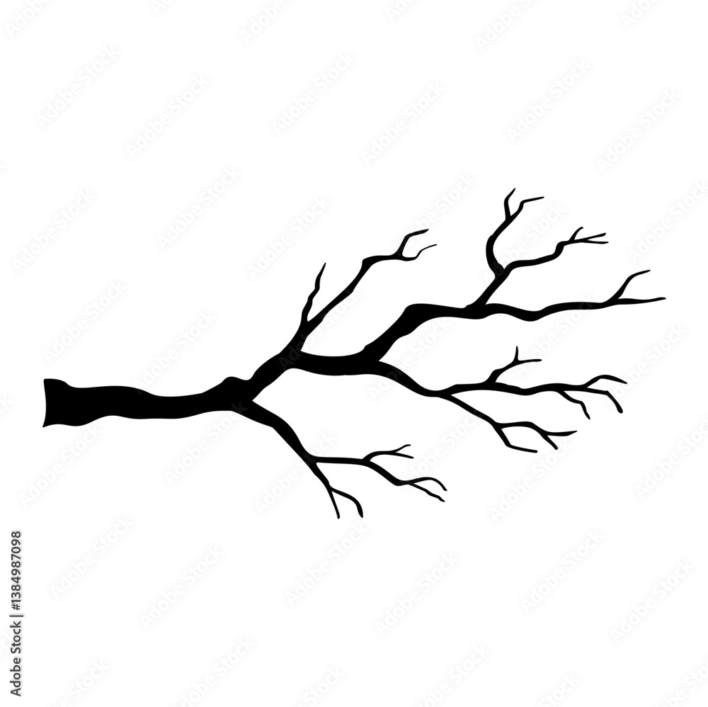 Fototapeta premium dead tree branches