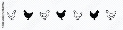 silhouette of a hen, silhouettes chicken, hen chicken silhouette set. Set of vector chicken black silhouettes