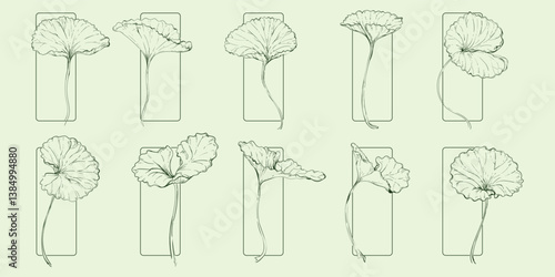 Sketch of gotu kola leaves in various shapes. Also known as Centella asiatica or pennywort. An herb. Vector illustration.