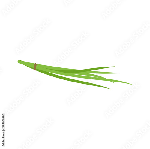 Garlic chives leaf. Healthy vegetarian food. Flat vector illustration.