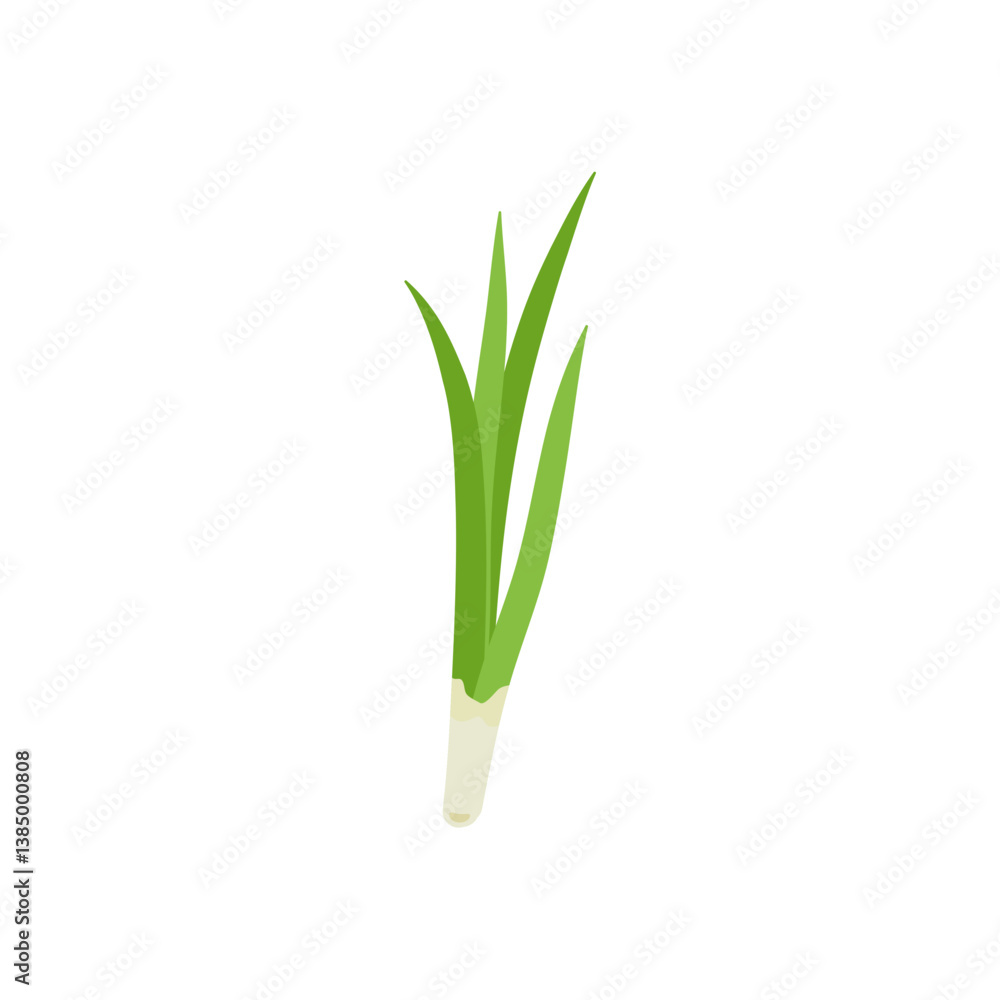 Obraz premium Garlic chives leaf. Healthy vegetarian food. Flat vector illustration.