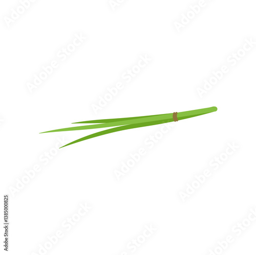 Garlic chives leaf. Healthy vegetarian food. Flat vector illustration.