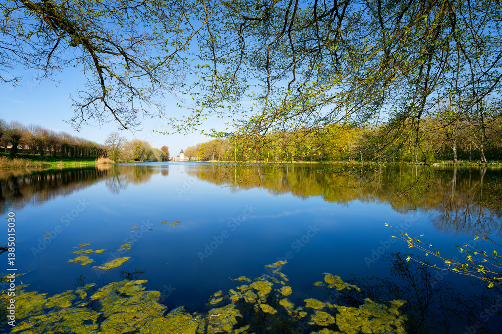 Obraz premium Departmenta park of the Sully-sur-Loire castle