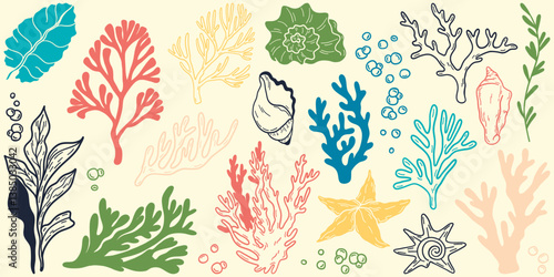Flat outline seaweed and coral. Abstract organic shape, underwater plant, Matisse element, cute sea drawing. Cartoon sea floral set. Trendy minimal vector set.