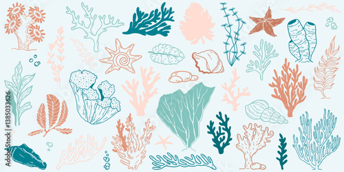 Flat outline seaweed and coral. Abstract organic shape, underwater plant, Matisse element, cute sea drawing. Cartoon sea floral set. Trendy minimal vector set.