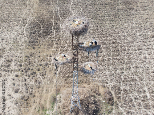 Obraz na płótnie White stork nests on a pole, filmed from a quadcopter.Uzbekistan w salonie