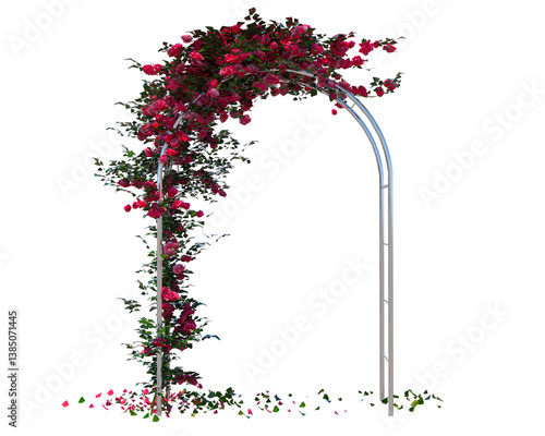 Architrave arch pillar planted with red bougainvillea plants. Bougainvillea isolated photo