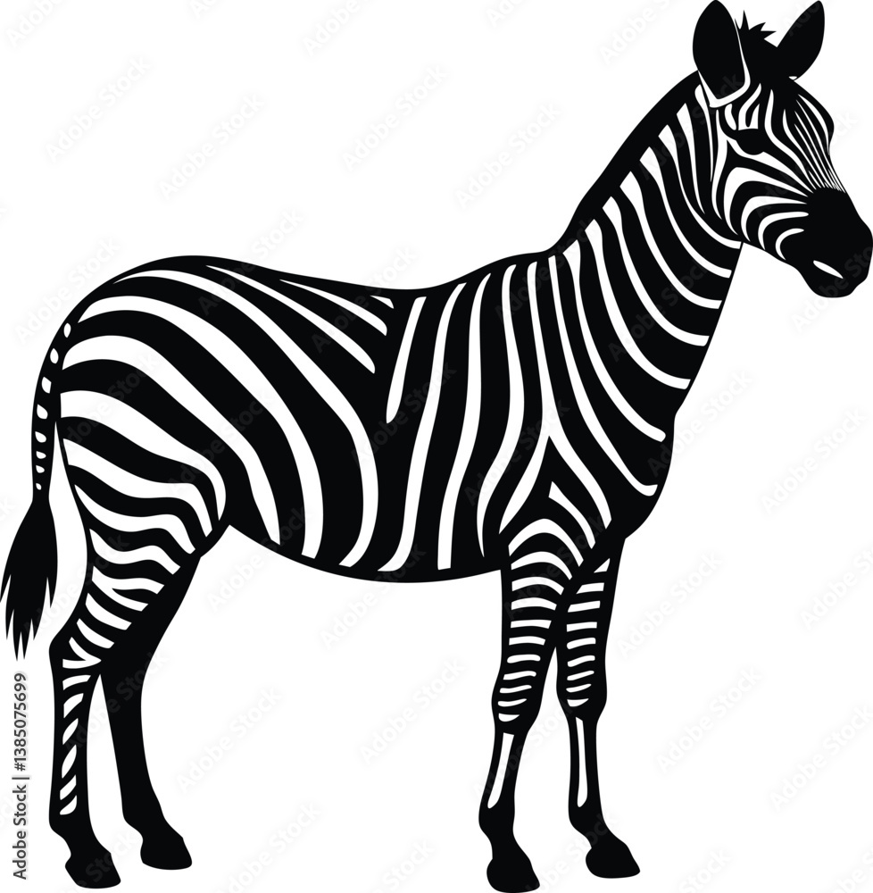 Fototapeta premium zebra vector illustration