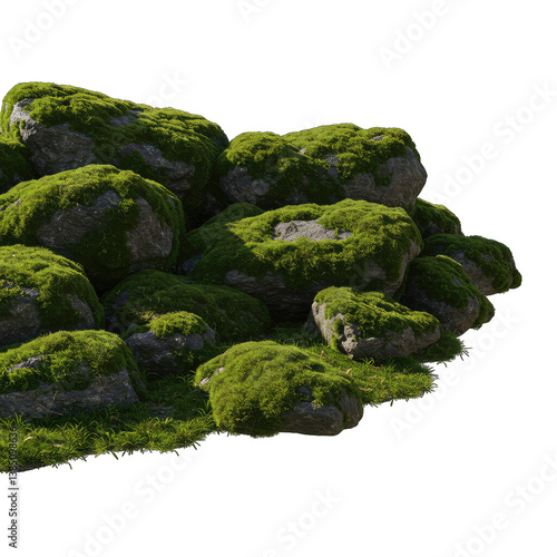 Moss Rocks Texture Background