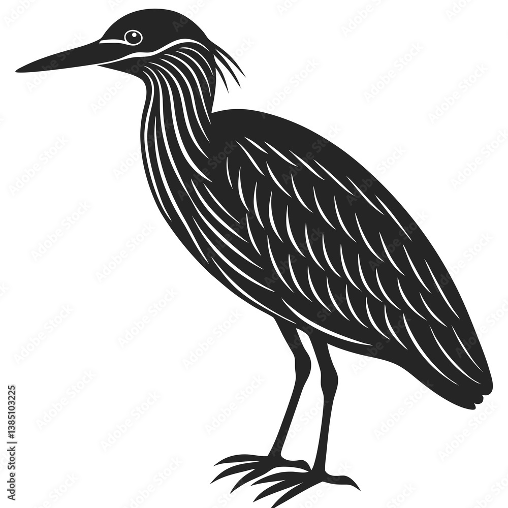 Fototapeta premium Striated heron silhouette vector illustration