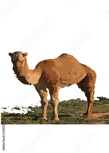 A camel is a large, even-toed ungulate that is well-known for its ability to survive in harsh desert environments. There are two primary species of camels