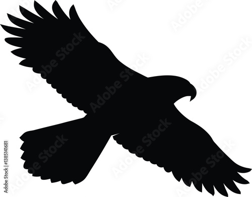 Falcon silhouette vector art on transparent background