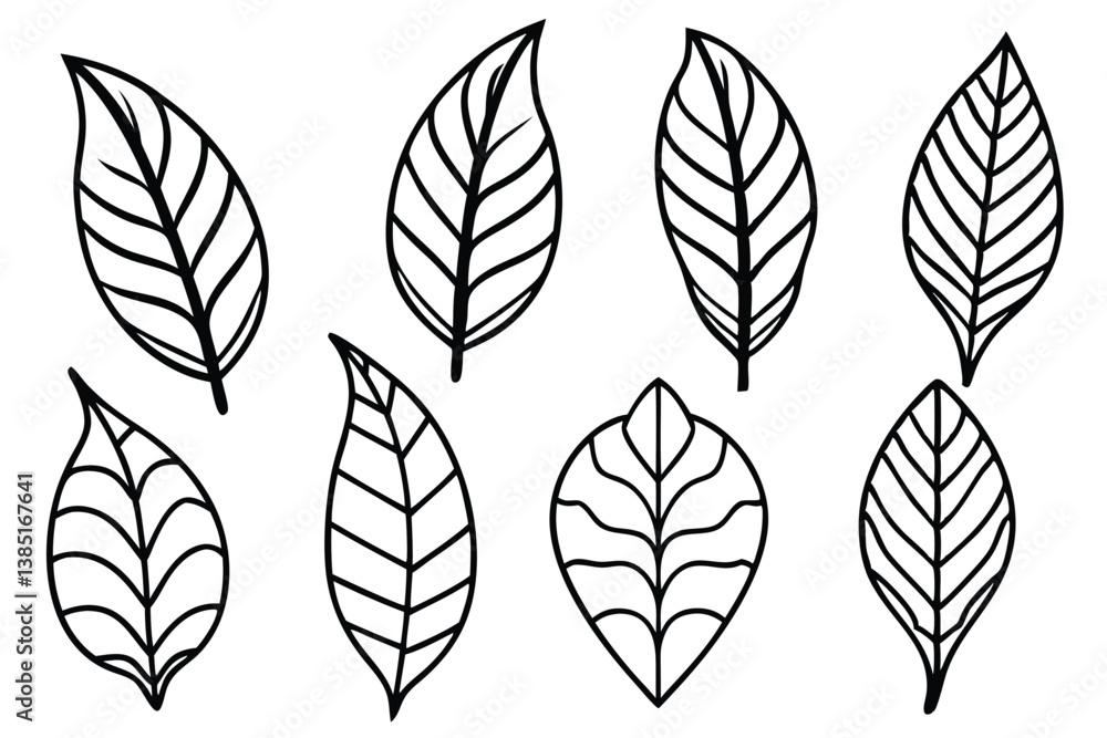 Croton Leaf Line Art Illustration for Botanical Themed Artwork Croton Leaf Line Art Illustration for Botanical Themed Artwork