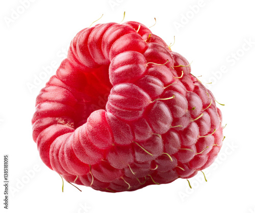 framboise en gros plan