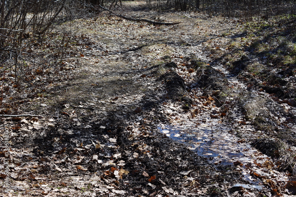 a muddy road in the forest with puddles and dry leaves a muddy road in the forest with puddles and dry leaves