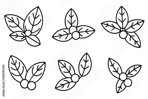 Wallpaper Mural Cranberry Leaf Line Art Detailed Drawing for Botanical Themed Artwork  Torontodigital.ca