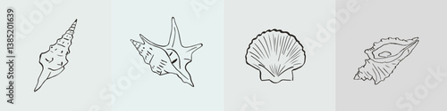 A set of posters of shells, mussels and oysters on a colored background