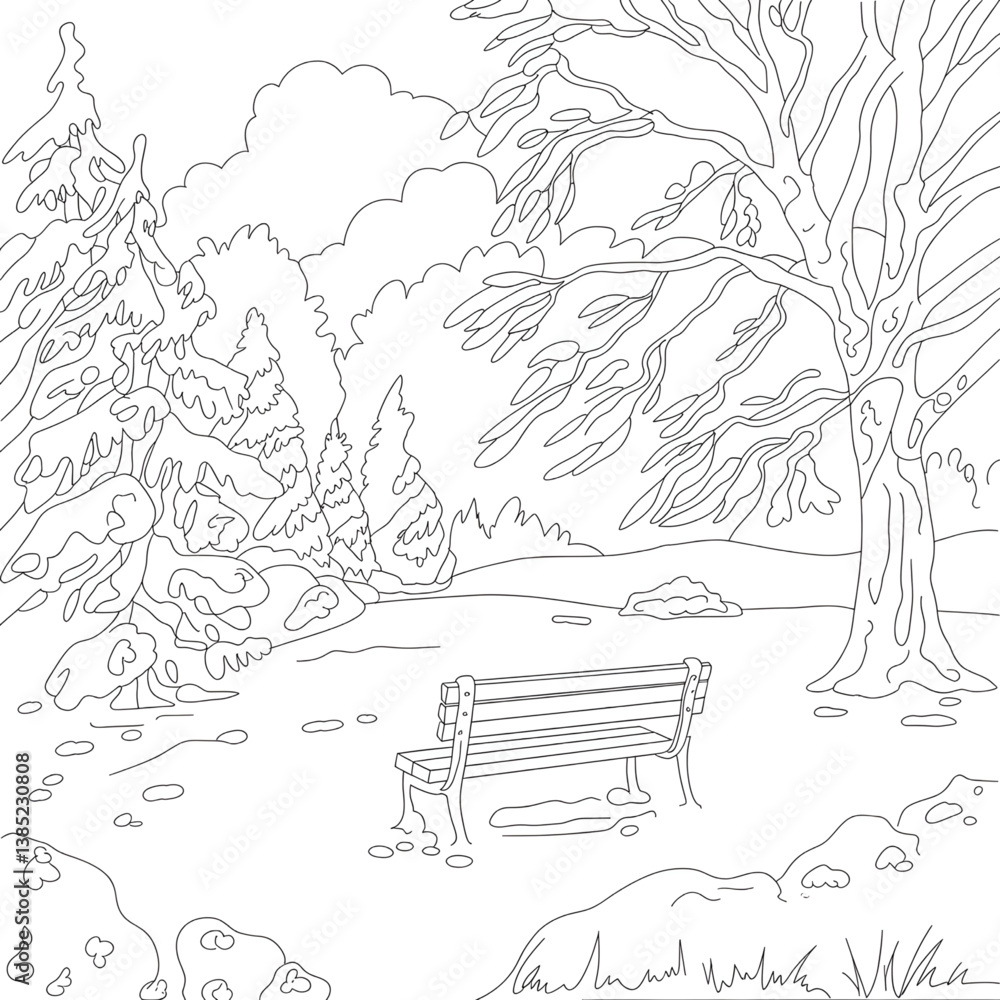 Fototapeta premium vector illustration of a forest