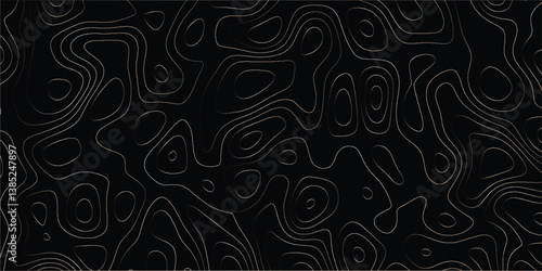 Contemporary elevation design with seamless linework inspired by topographic forms

