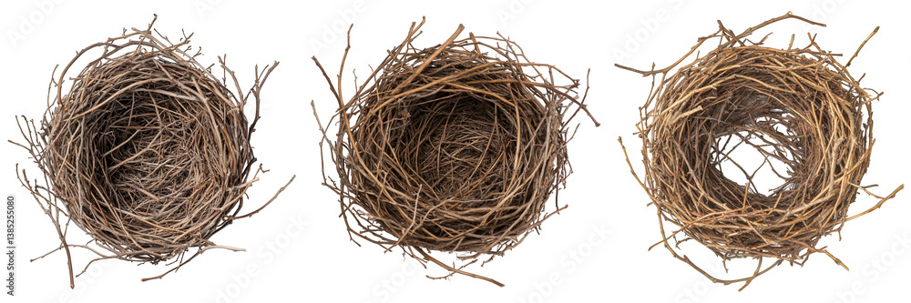Triptych of intricate empty bird nests. Triptych of intricate empty bird nests.