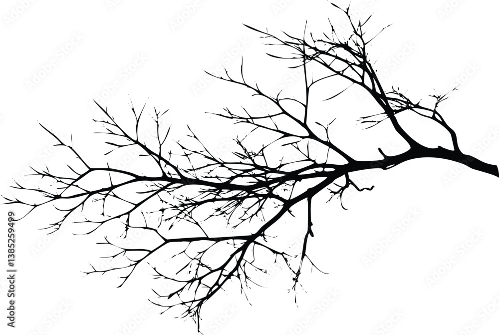 Fototapeta premium Detailed Silhouette of a Tree Branch Against Transparent Backdrop