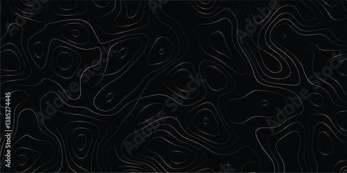 Decorative elevation pattern inspired by terrain maps and line art

