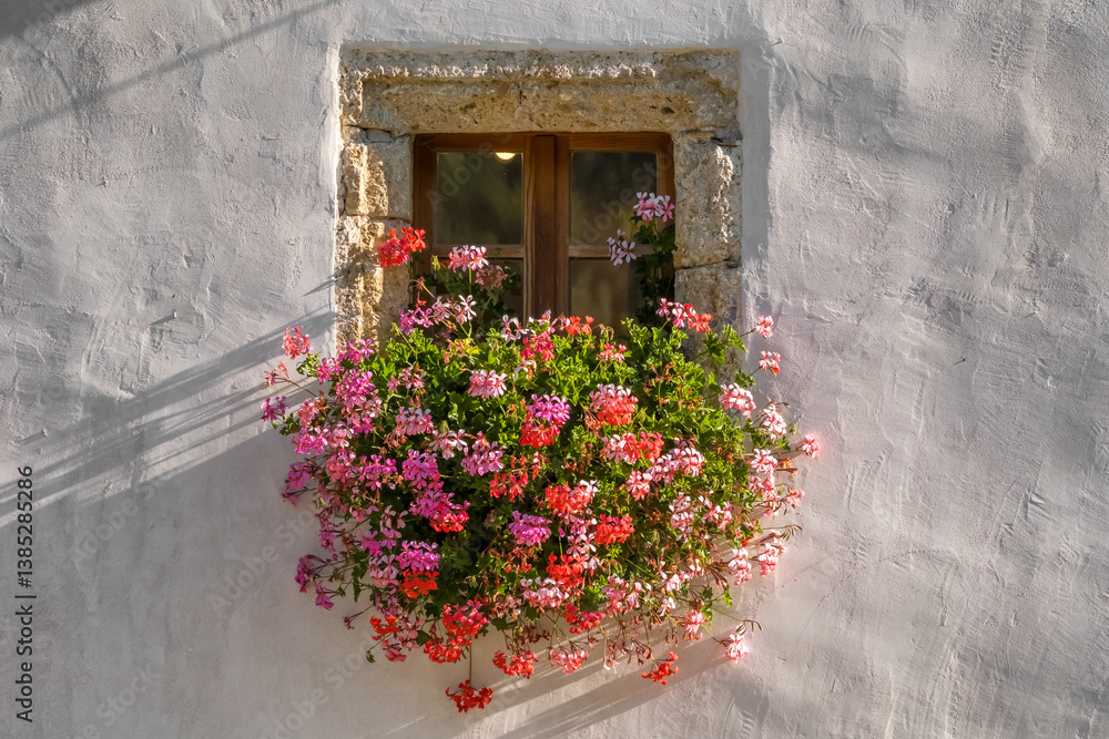 Close-up of vibrant flowers blooming in the window of a charming country house in Slovenia.
