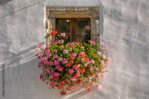 Obraz na płótnie Close-up of vibrant flowers blooming in the window of a charming country house in Slovenia. w salonie