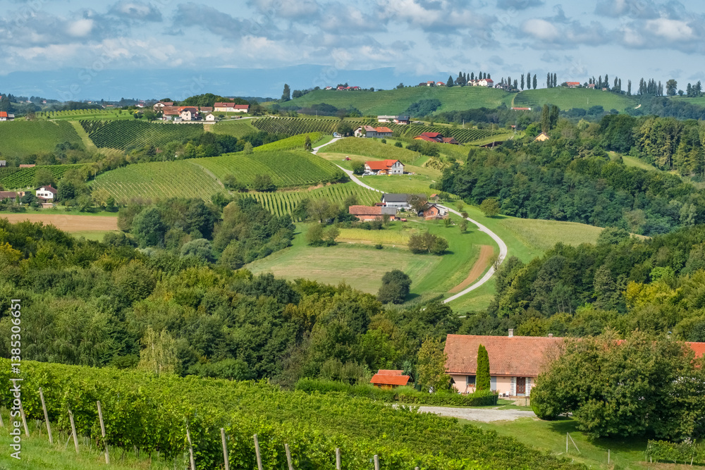 Vineyards in Jeruzalem wine region in Eastern Slovenia