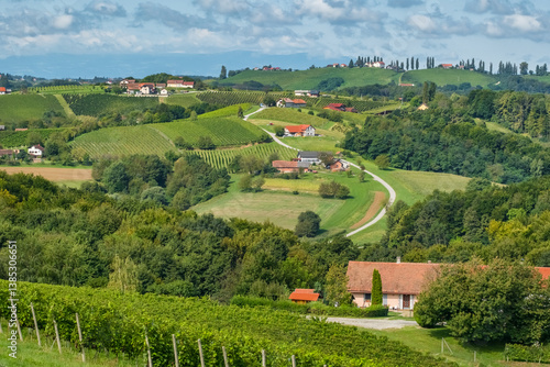 Obraz na płótnie Vineyards in Jeruzalem wine region in Eastern Slovenia w salonie