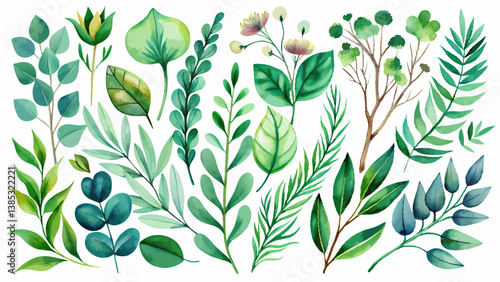 Watercolor floral illustration set - green leaf branches collection, for wedding stationary, greetings, wallpapers, fashion, background. Eucalyptus, olive, green leaves, etc.