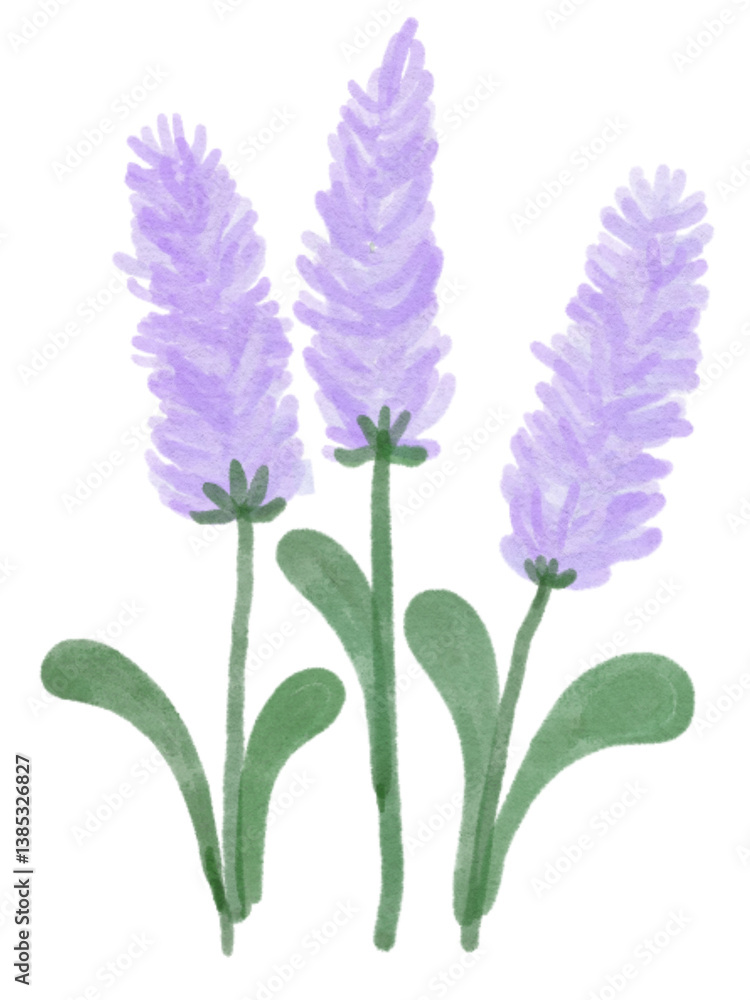 Obraz premium Minimal cute flowers 