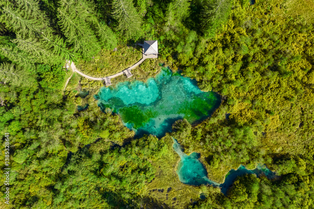 Top down view of the Zelenci Springs during summer in Slovenia