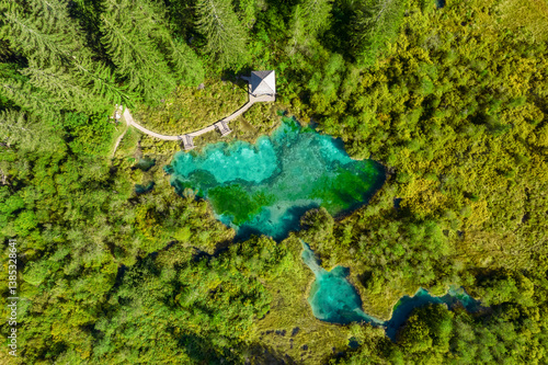 Obraz na płótnie Top down view of the Zelenci Springs during summer in Slovenia w salonie