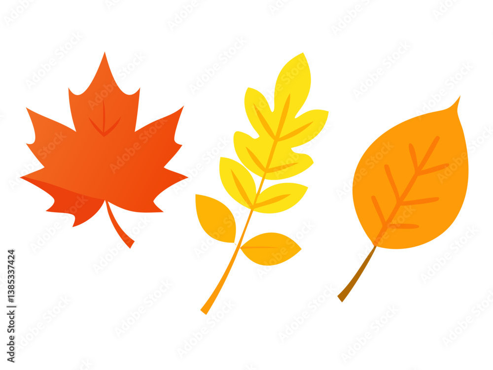 Fototapeta premium autumn leaves isolated on white