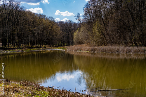 Forest lake with muddy water surrounded by dry grass and trees under a cloudy sky. Nature landscape with reflections on the water surface. Tranquil outdoor scenery for design and print