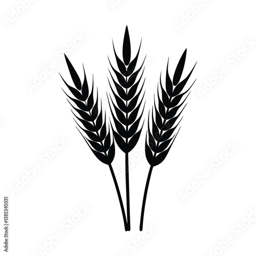 wheat isolated on white background