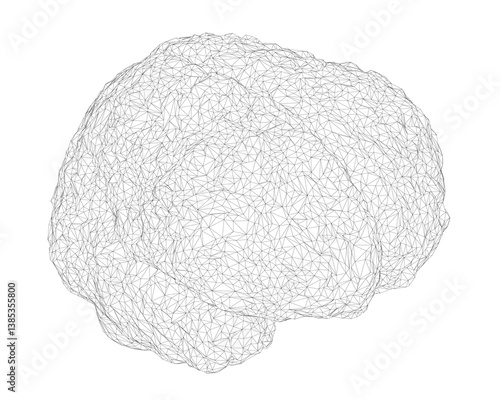 A brain is shown in a black and white illustration. The brain is shown in a very detailed manner, with many small dots and lines. Concept of complexity and intricacy